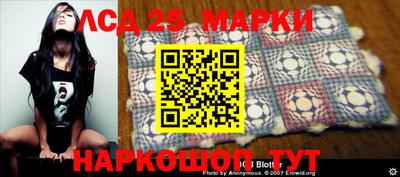 прущие крисы Кандалакша