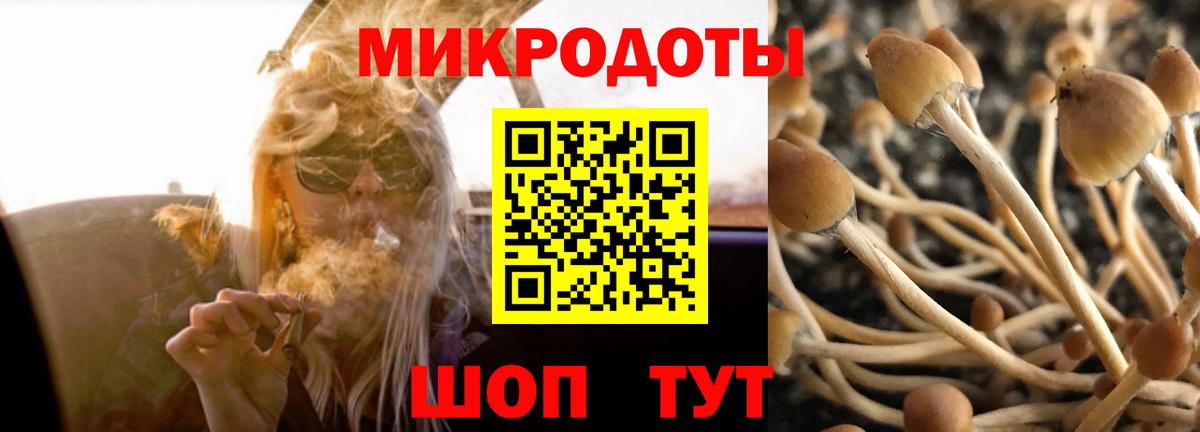 Галлюциногенные грибы мухоморы  Вход с VPN  как найти наркотики  Воркута 
